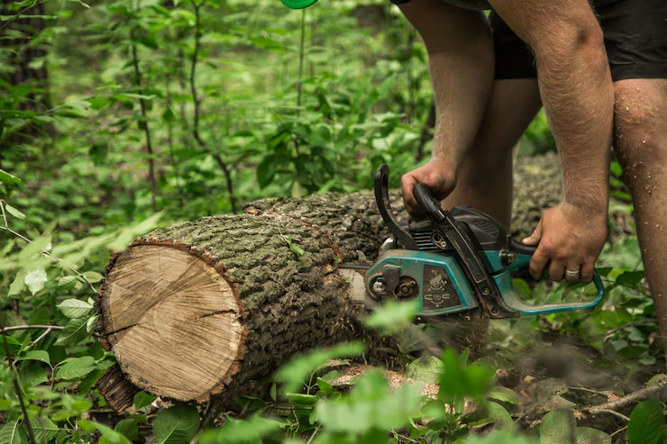 man-with-chainsaw-cuts-tree_169016-1835 man-with-chainsaw-cuts-tree_169016-1835