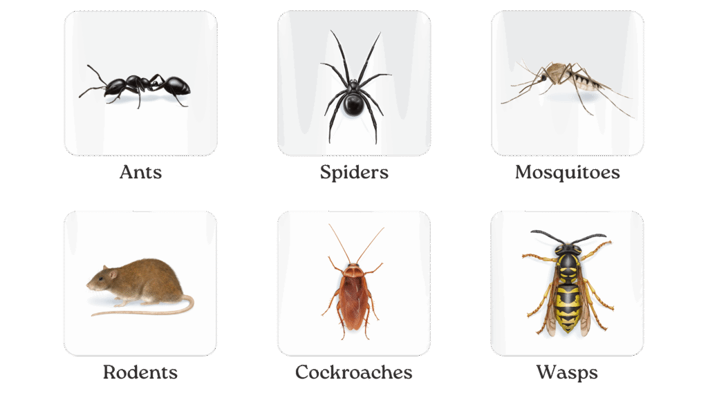 UHA pest Control (4) (1) UHA pest Control (4) (1)