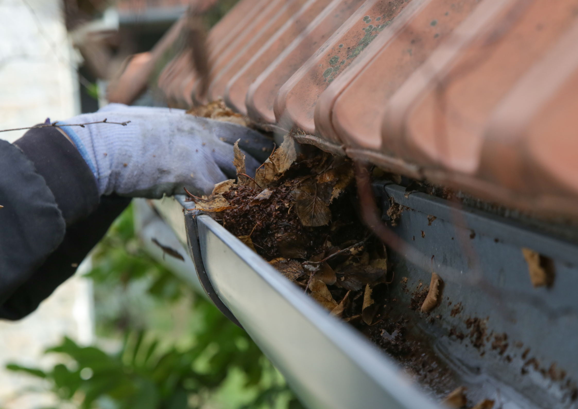 Why is it Important to Install or Replace Gutters Why is it Important to Install or Replace Gutters